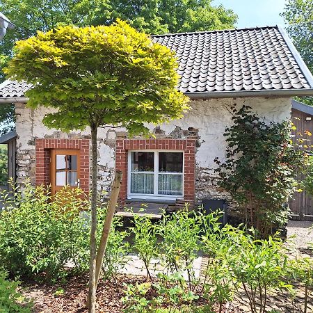 רוטגן Ferienhaus Altes Backhaus מראה חיצוני תמונה